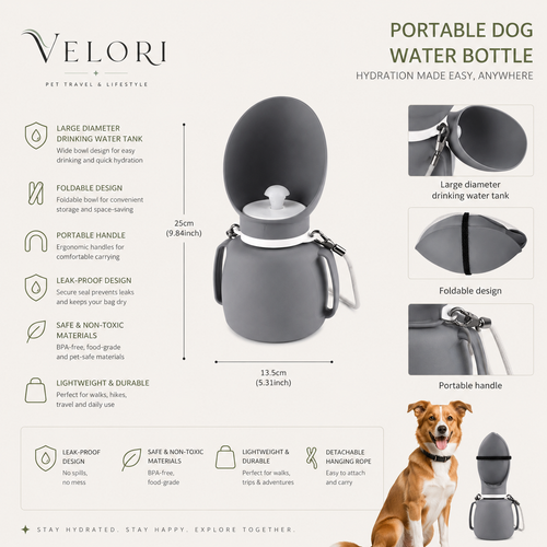 VELORI Oasis Travel Water Bottle